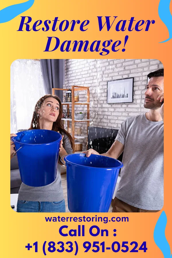 water restoration Eagle Water Damage Crew Masontown