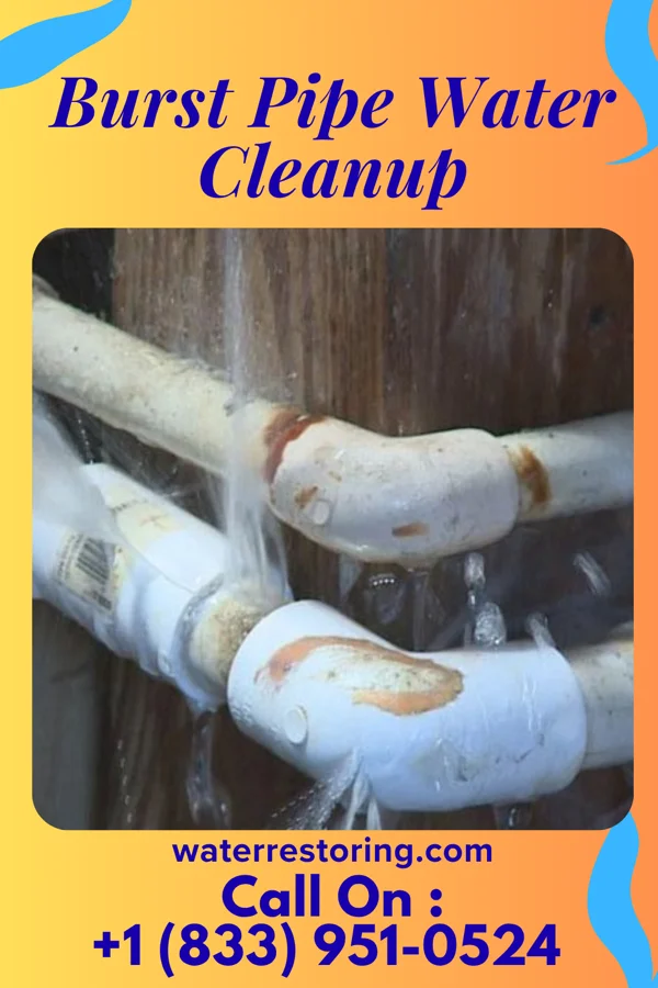 Burst Pipe Water Cleanup in Masontown, WV