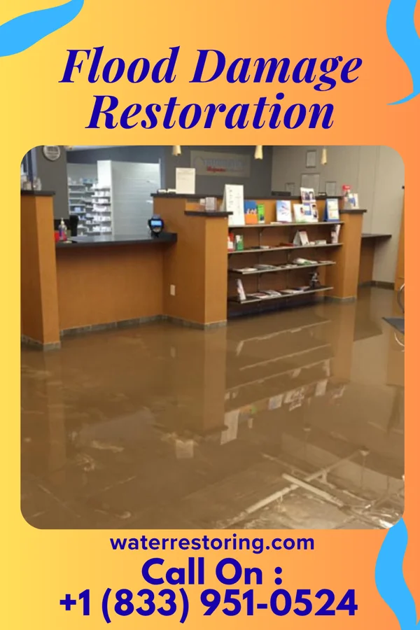Flood Damage Restoration in Masontown, WV