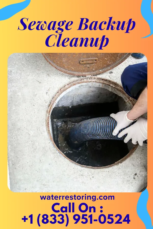Sewage Backup Cleanup in Masontown, WV