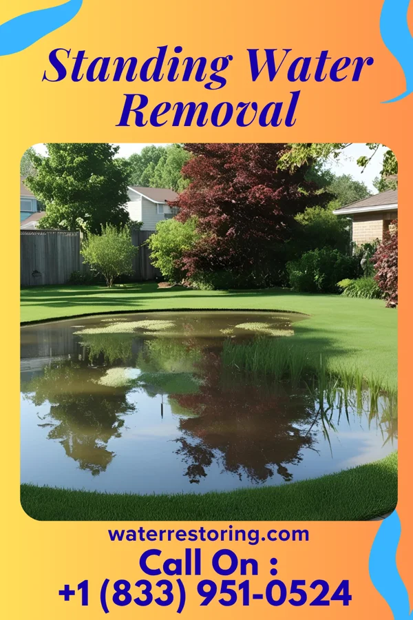 Standing Water Removal in Masontown, WV
